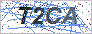 验证码